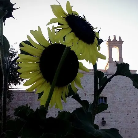 Villa Casale Del Gelso